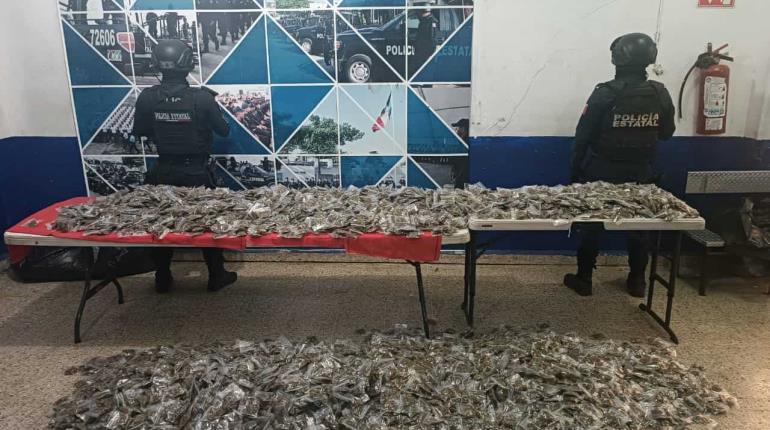 Localizan auto abandonado con más de 8 mil dosis de marihuana en Brisas del Carrizal