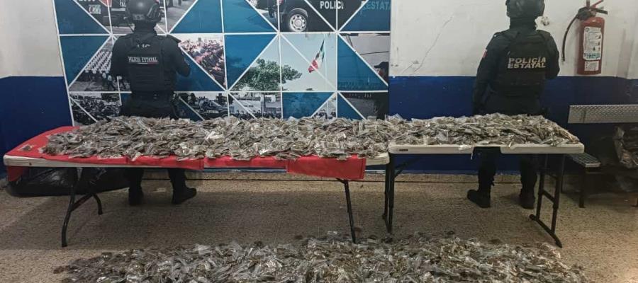 Localizan auto abandonado con más de 8 mil dosis de marihuana en Brisas del Carrizal