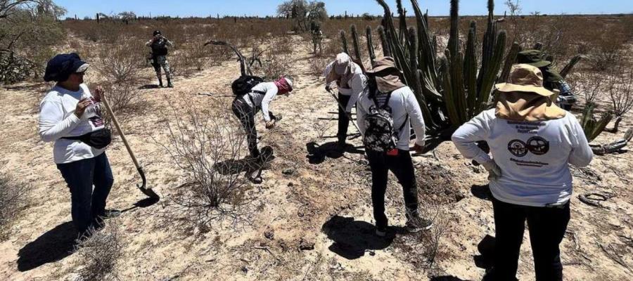 Colectivos de búsqueda hallan cuerpos de 21 personas en fosa clandestina en Guanajuato