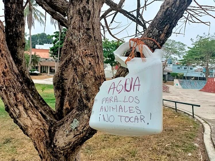 ¡Héroes! Vecinos de Atasta instalan bebederos para animales en parque La Juventud