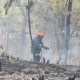 Se suma UNAM al llamado a fuerzas israelíes a un alto al fuego contra Gaza