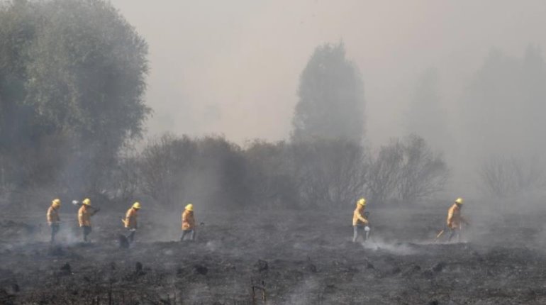 Incendios forestales en Campeche amenazan zonas de manglares