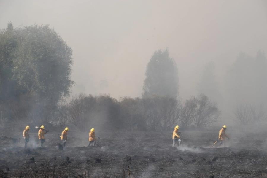 Incendios forestales en Campeche amenazan zonas de manglares