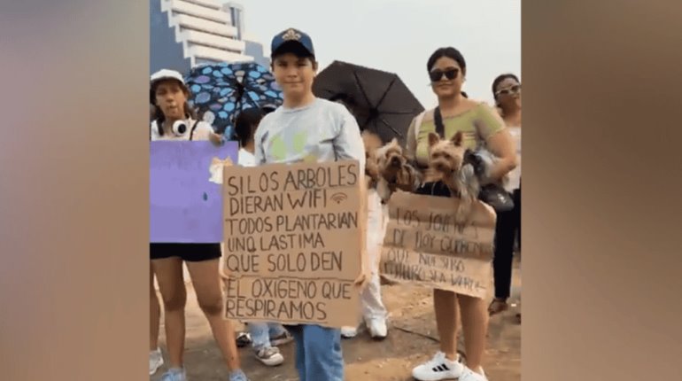 En Villahermosa, ambientalistas piden un alto a la tala de árboles