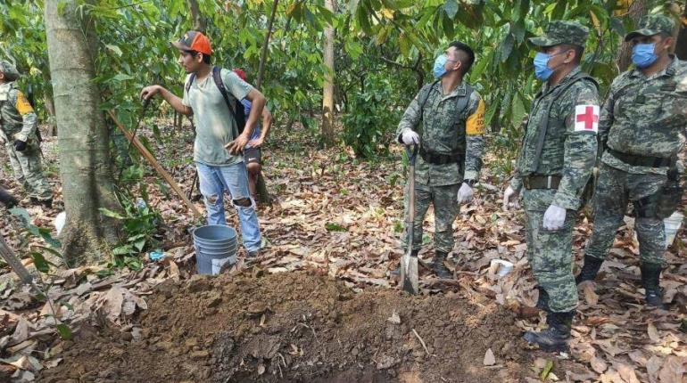 Que se declare "emergencia" por mortandad de monos en Tabasco plantea Asociación Civil