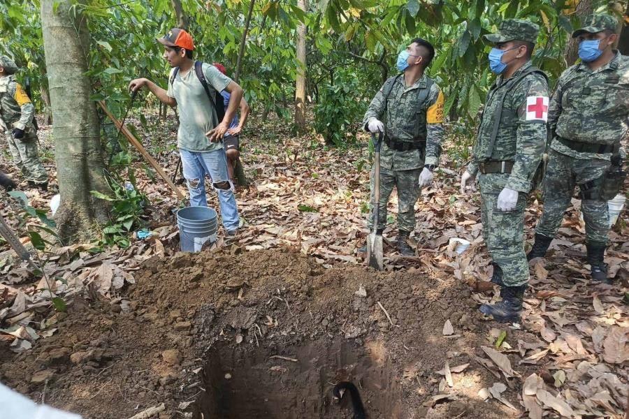 Que se declare "emergencia" por mortandad de monos en Tabasco plantea Asociación Civil