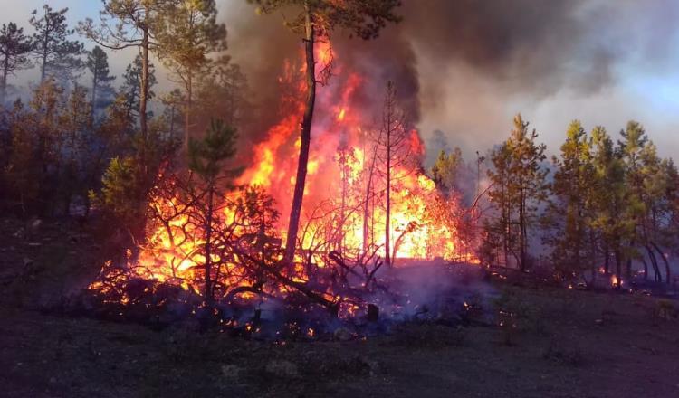 Detienen a sujeto en Cárdenas por generar daños con incendio