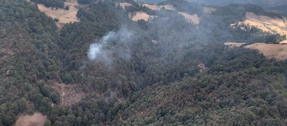 Fallece brigadista mientras combatía incendio forestal en Michoacán