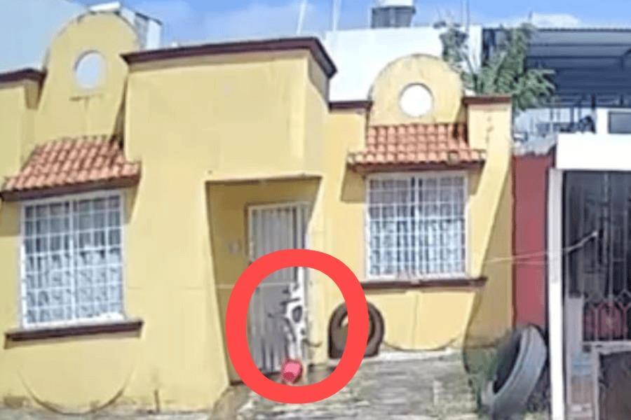 Denuncian nuevo caso de maltrato animal en Parrilla II