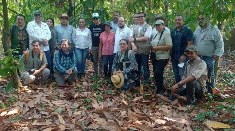 Especialistas de la UJAT, Semarnat y Profepa crean protocolo de atención al mono saraguato 