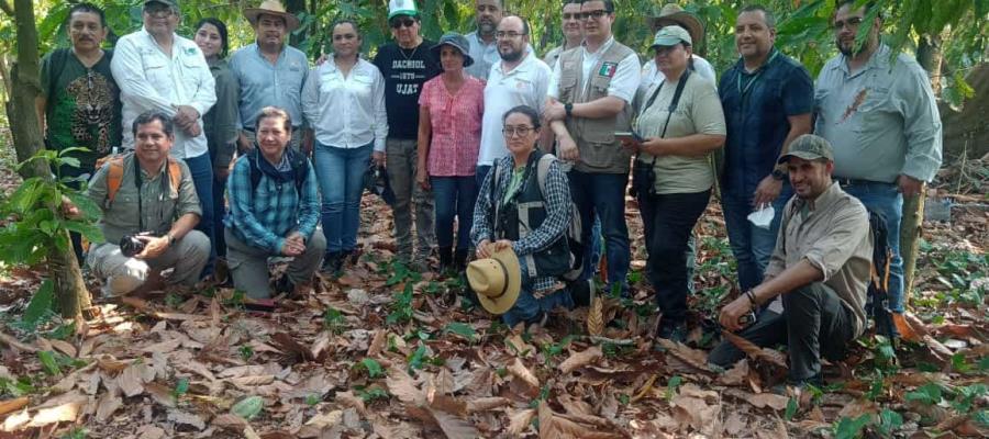 Especialistas de la UJAT, Semarnat y Profepa crean protocolo de atención al mono saraguato 