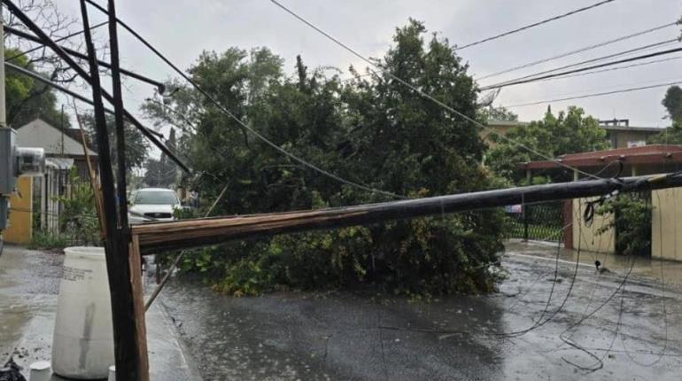 Fuertes ráfagas de viento derriban árboles, lonas y hasta tinacos en Nuevo León