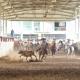 Asociación de Charros de Villahermosa se prepara para festejos de 60 aniversario