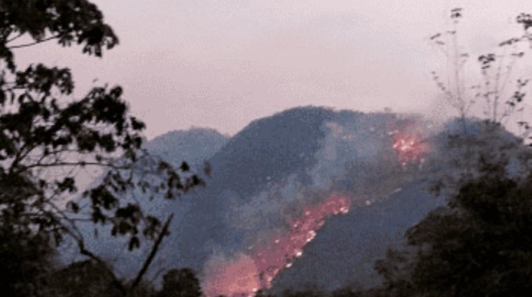 Tabasco a punto de superar el total de incendios de 2023: Protección Civil