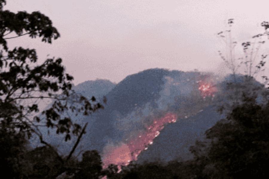 Tabasco a punto de superar el total de incendios de 2023: Protección Civil