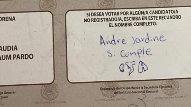 Ciudadanos votan por futbolistas, beisbolistas y hasta por comunicadores que no estaban registrados