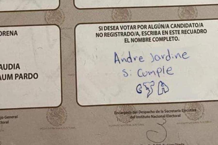 Ciudadanos votan por futbolistas, beisbolistas y hasta por comunicadores que no estaban registrados