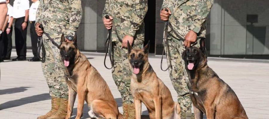 Reconoce Semar labor de sus elementos caninos Eden, Enry y Eska, durante ceremonia de jubilación