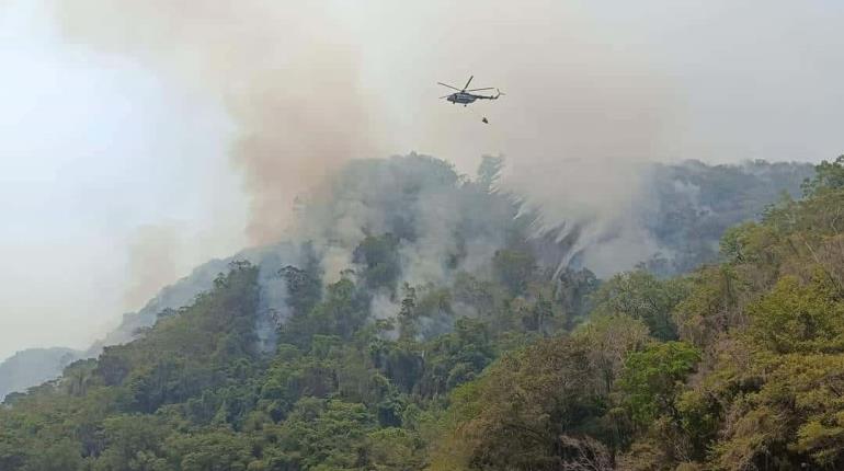 Cerca de 900 incendios se han registrado en Tabasco en lo que va del año: PC