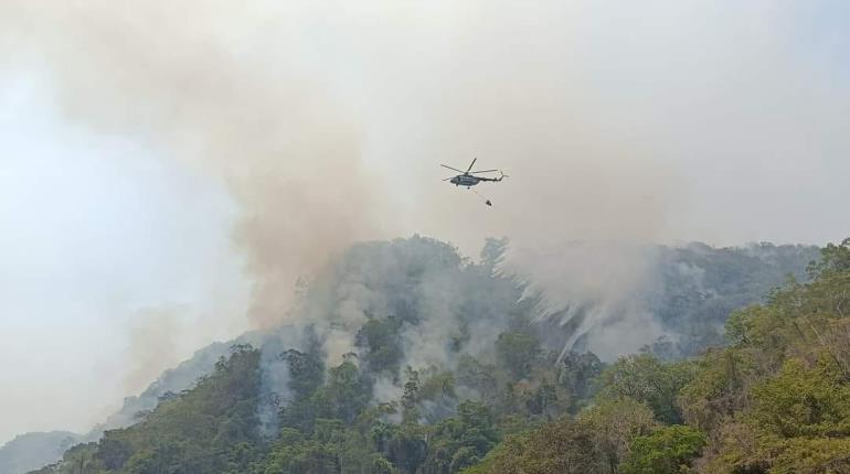 Incendio consume 140 hectáreas en el ejido Los Rieles y Boca del Cerro, Tenosique