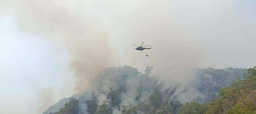 Incendio consume 140 hectáreas en el ejido Los Rieles y Boca del Cerro, Tenosique