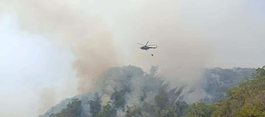 Fin de semana quedarían sofocados incendios de Tacotalpa y Tenosique: PC Tabasco