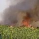 Pronostica Conagua lluvias de intensas a torrenciales para este sábado