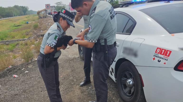 Rescata Guardia Nacional a mono ofrecido a la venta en Cárdenas