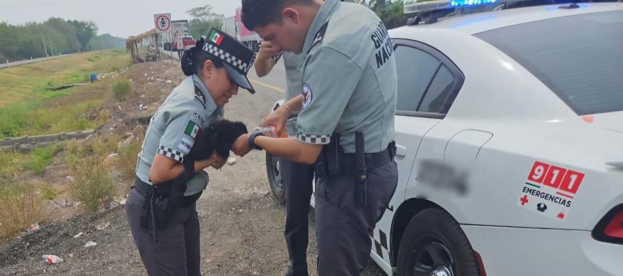 Rescata Guardia Nacional a mono ofrecido a la venta en Cárdenas