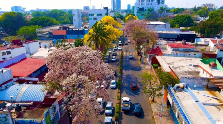 Este jueves inicia Festival Villahermosa 2024 con entrega del premio Blancas Mariposas