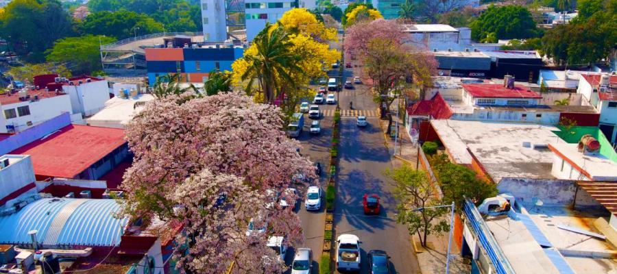 Este jueves inicia Festival Villahermosa 2024 con entrega del premio Blancas Mariposas