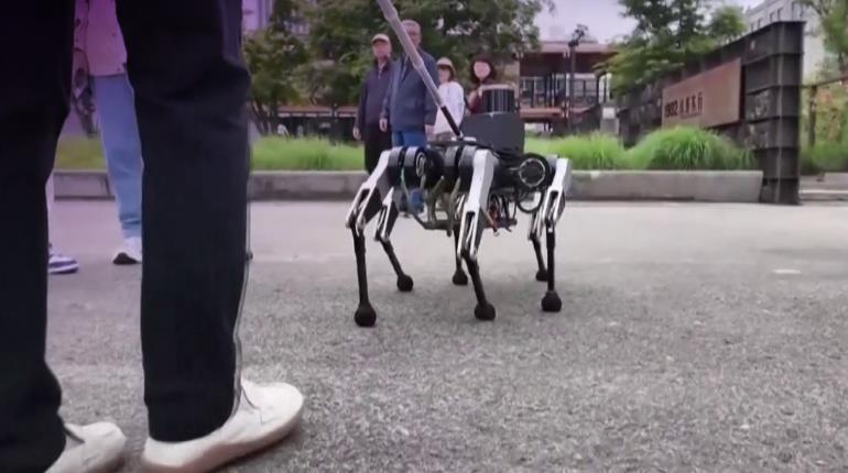 Robot de 6 patas podría ayudar a que pcd visual accedan a perro de servicio en China