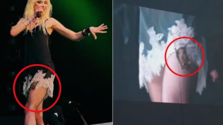 Taylor Momsen es mordida por murciélago en pleno escenario