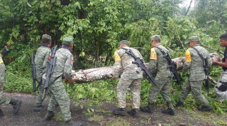 Ejército y Guardia Nacional liberan carretera a Palenque tras caída de árboles 