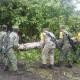 Ejército y Guardia Nacional liberan carretera a Palenque tras caída de árboles 