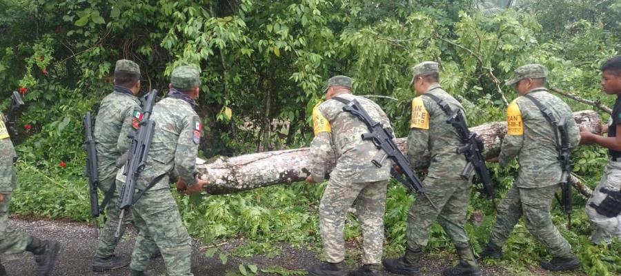 Ejército y Guardia Nacional liberan carretera a Palenque tras caída de árboles 