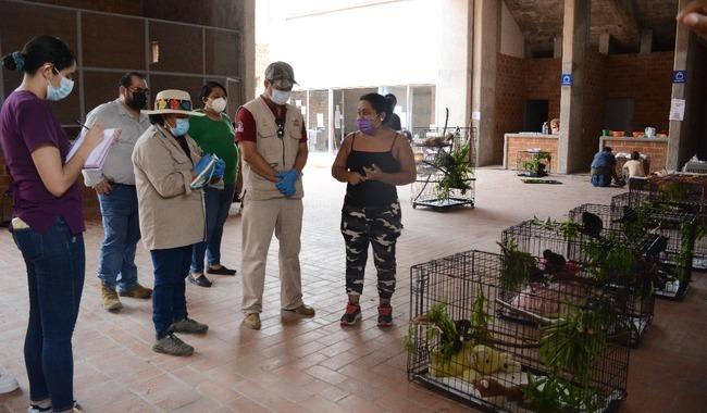 Lluvias estabilizan situación de monos en el sureste del país: Semarnat