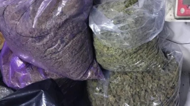 Decomisan 350 kilogramos de marihuana en CDMX