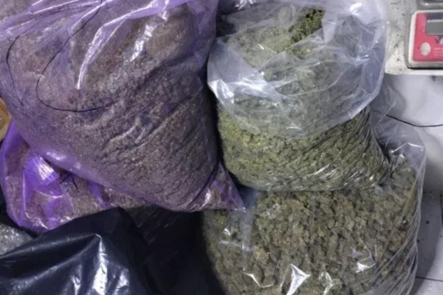 Decomisan 350 kilogramos de marihuana en CDMX