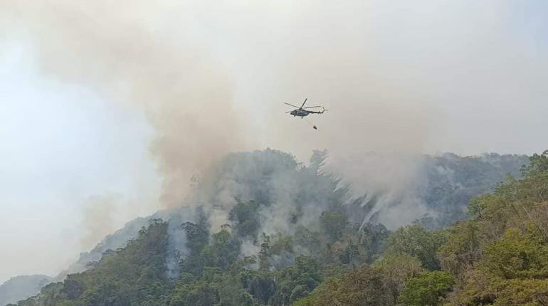 Liquidan al 100% incendios forestales en Tabasco