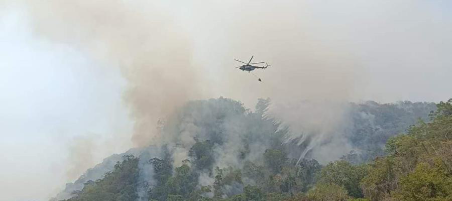 Liquidan al 100% incendios forestales en Tabasco