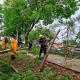 Ciclón Tropical Uno deja lluvias intensas en 11 estados del país