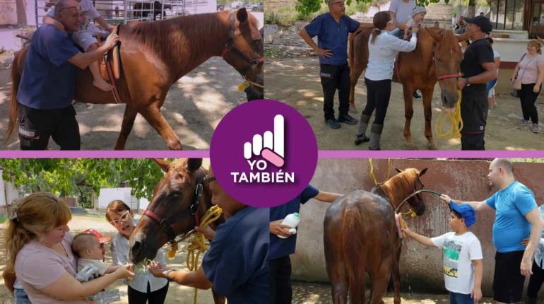 Caballos ´policía´ que ayudan a niños y niñas con discapacidad en Ciudad Victoria, Tamaulipas