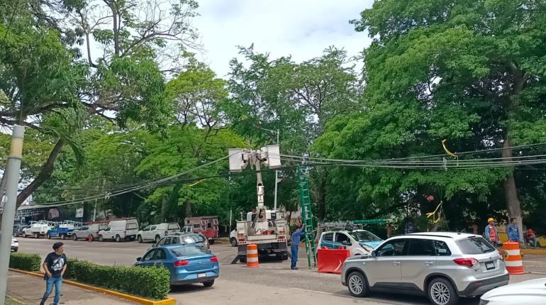 Monta CFE operativo para reparar infraestructura dañada por caída de árbol