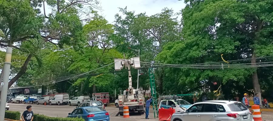 Monta CFE operativo para reparar infraestructura dañada por caída de árbol