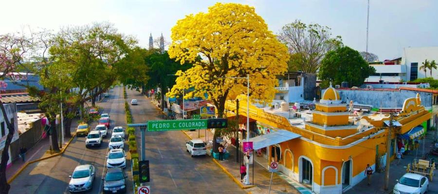 Agenda del segundo día del Festival de Villahermosa 2024