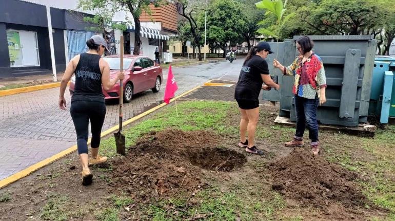 Colectivo "Sábado en Verde" realiza jornada de reforestación urbana