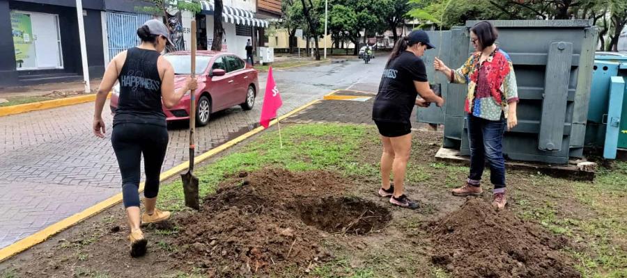 Colectivo "Sábado en Verde" realiza jornada de reforestación urbana