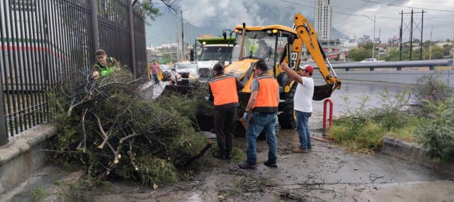 Samuel García pedirá recursos federales tras afectaciones por Alberto