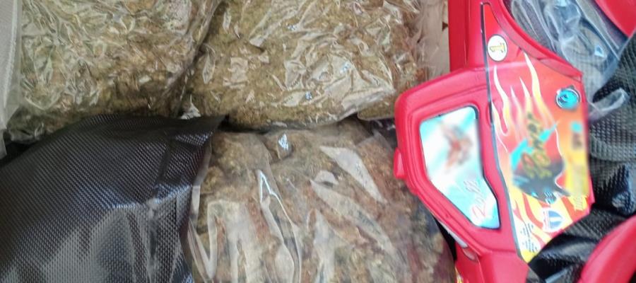 Hallan droga oculta en juguetes infantiles en Guadalajara y Mexicali